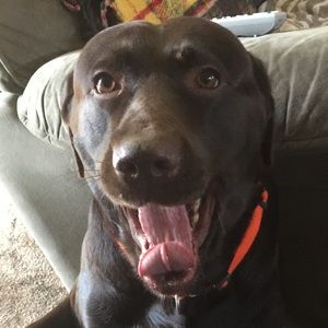 Meet your Posher, Cam